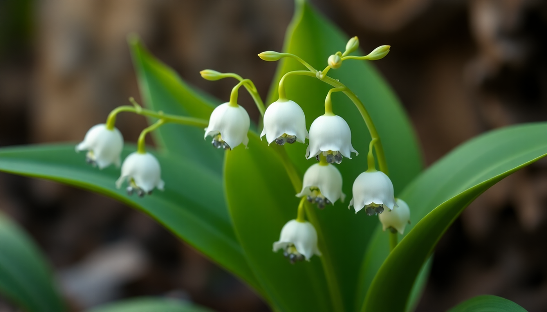 Nature's Embrace: Discover the Enchantment of Lily of the Valley Jewelry and the Magic of Mystic Quartz